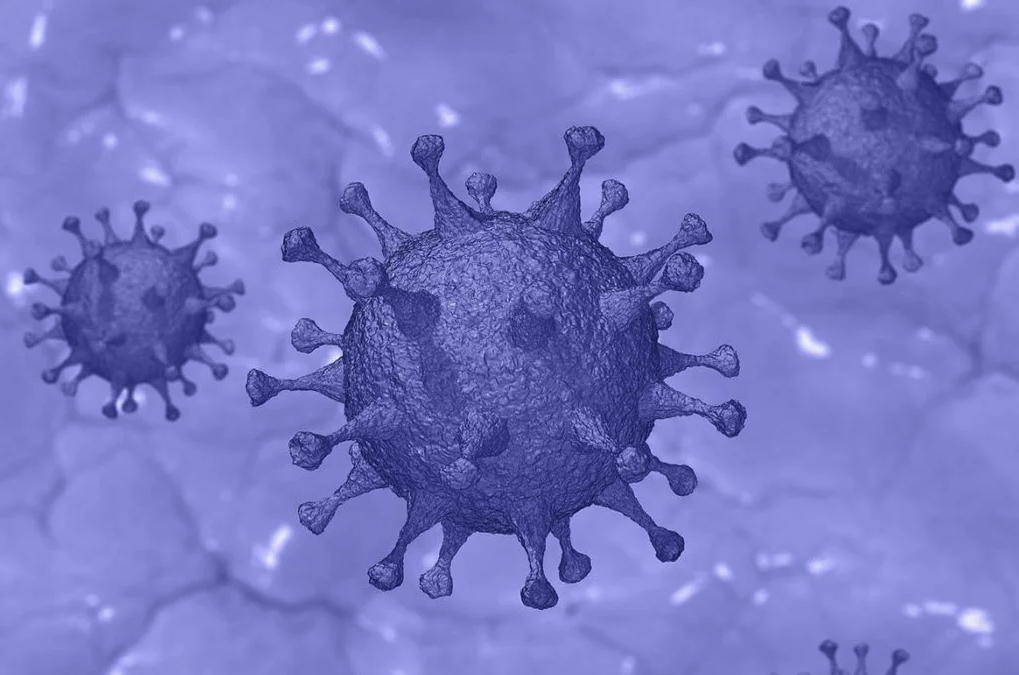 USCIS - coronavirus