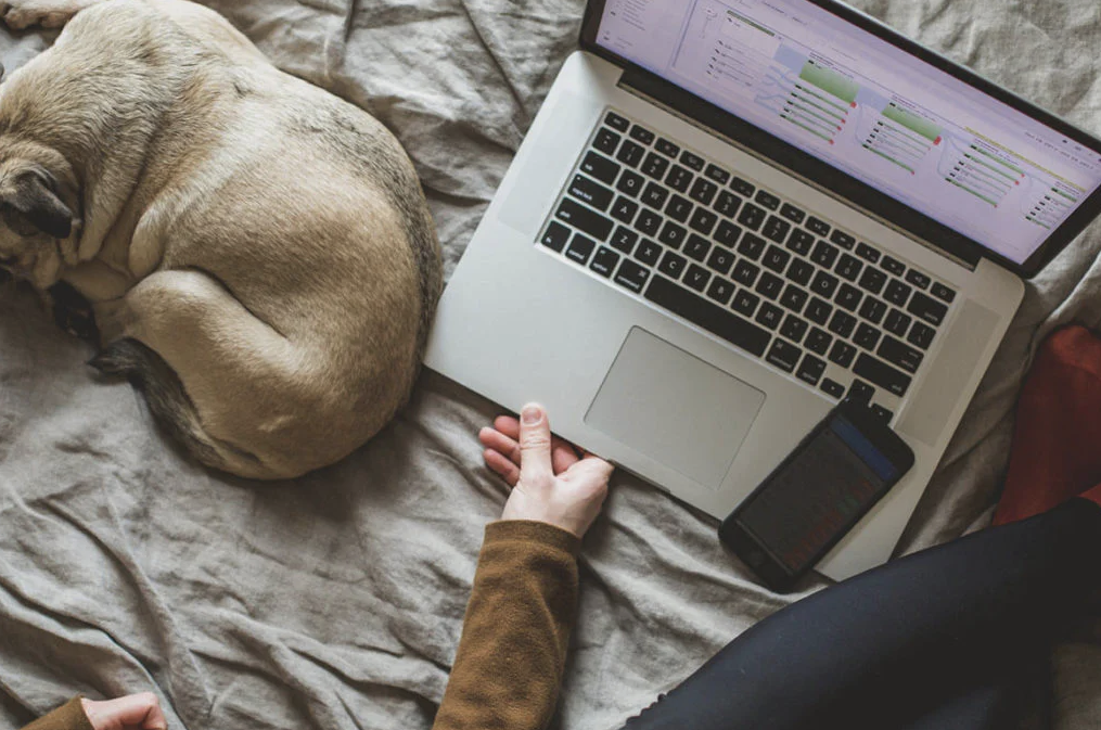 Do I have to work from home because of the coronavirus?