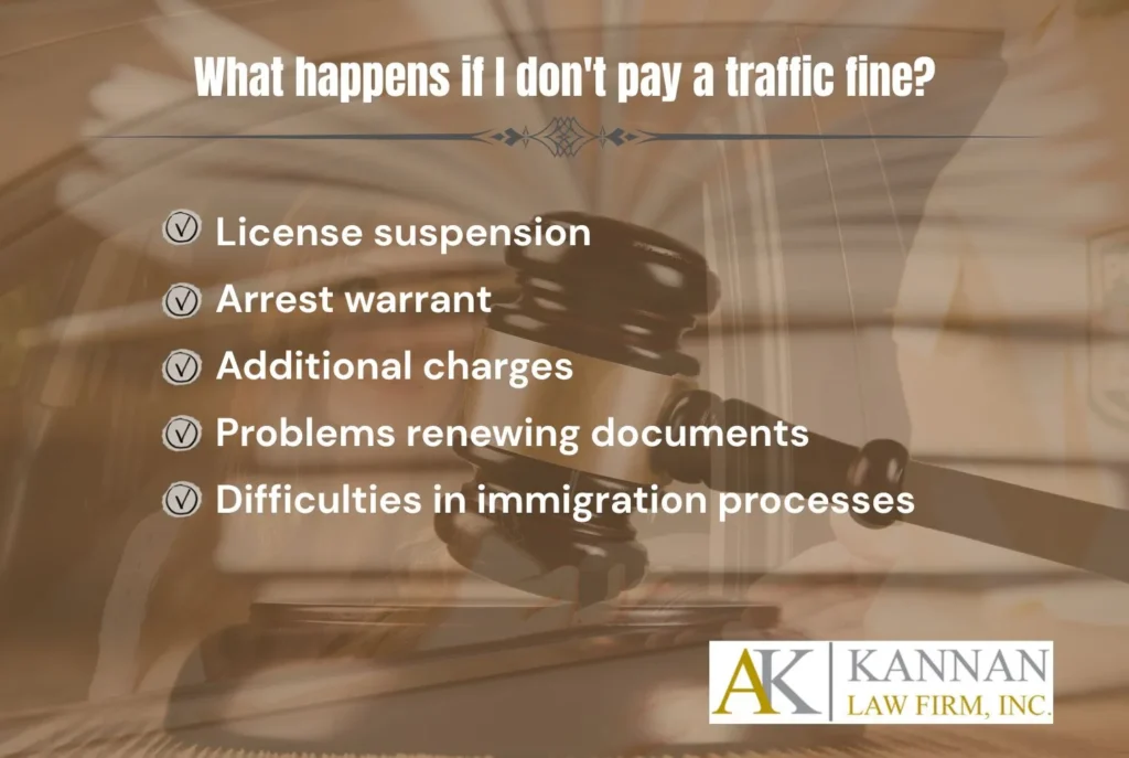 traffic tickets immigration risks